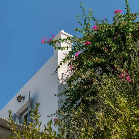 Apartment Baybees Sea View *